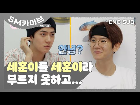 [SUB] 홍길동의 마음이 이런 거였을까요...? #세훈이를 세훈이라 부르지 못하고... #백현 #출석부게임 | EXO’s Travel the World on a Ladder 2