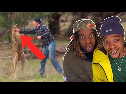 Reacting To Australia's Most Iconic Moments (eleven7four)