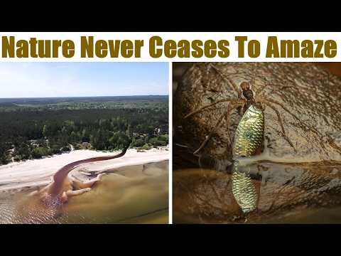 “THE BEAUTY OF NATURE”: Pics To Prove That Nature Never Ceases To Amaze