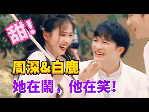 【七夕特輯】周深&白鹿歡喜冤家歡樂多！同频的人相处真的很养眼！#綜藝 #zhoushen #七夕