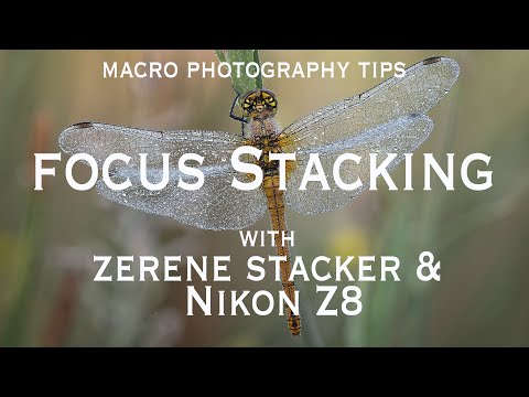 Macro Photography Tips: Focus Bracketing and Stacking with Zerene Stacker