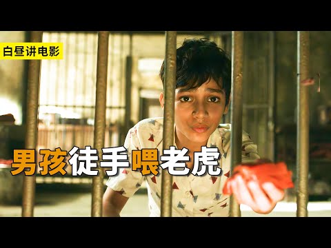 男孩膽子太大了,居然徒手餵老虎,好在父親及時趕到!