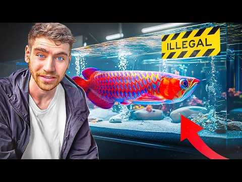 Inside Asia's *RICHEST* Exotic Pet Marketplace!! ... (Tour) $$$