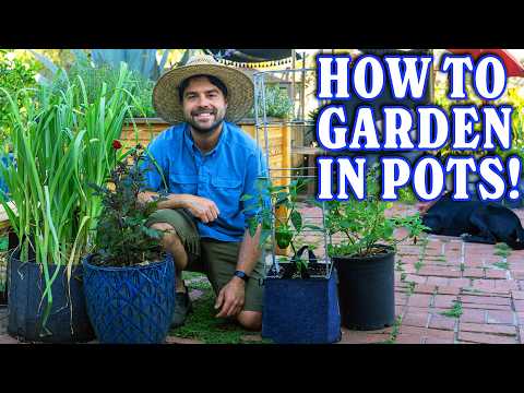 Container Gardening 101: From Pot To Plant