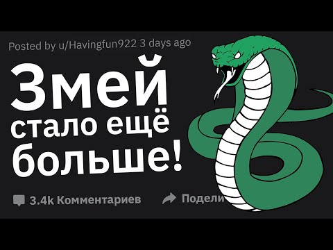 Что Было Сделано Для Безопасности, Но Привело к Ещё Большей Опасности?