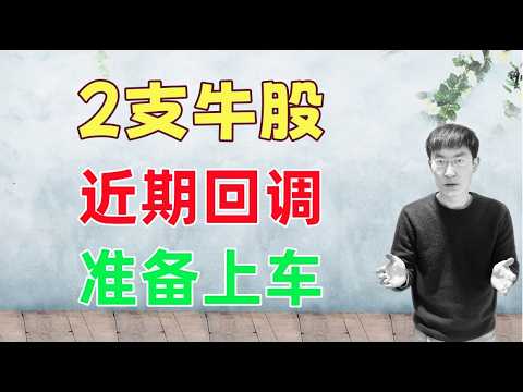 2支牛股，近期回调，可以买入