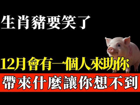 生肖豬要笑了！12月會有「一個人」來助你，帶來什麼讓你想不到！【般若之音】#生肖 #運勢 #風水 #財運#命理
