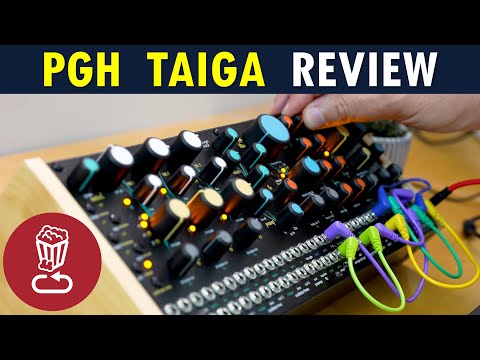 TAIGA Review // What if Bob Moog & Don Buchla collaborated on a synth in the 70s? // Tutorial