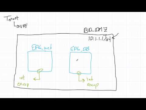 Cisco ACI: What Is A Bridge Domain