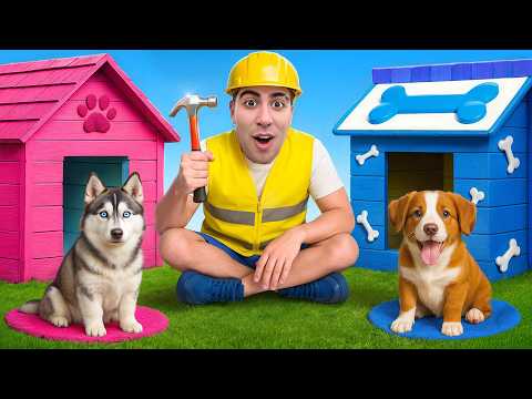 THE BEST DOG BUNKER WINS !!