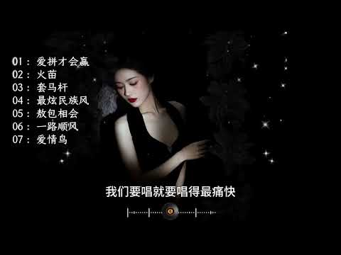 【经典老歌】爱拼才会赢  火苗  套马杆  最炫民族风  敖包相会  一路顺风  爱情鸟#我和音乐节超搭的 1