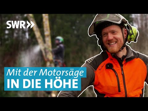 Gefahr, Artenschutz und Motorsägen: Unterwegs mit den Baumkletterern im Schwarzwald