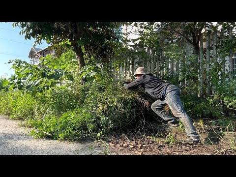 Shocking Stench Behind the Wall—Watch Us Clean and Eliminate the Rotten Smell . #cleaning #cleanup