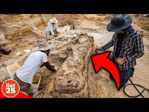 25 Bizarre Facts About Fossils