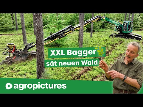 Forestry documentary: XXL excavator sows new trees in the forest | IMPEX milling technology for n...