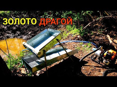 МОЮ ЗОЛОТО ДРАГОЙ (ЯМЫ)