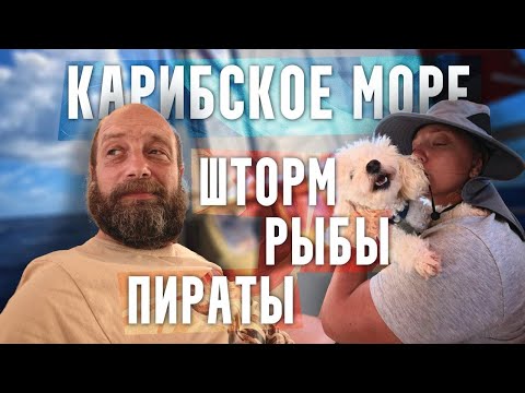 Спасаемся от пиратов || Весёлая ночка || Отказ матроса готовить  || ЧП на борту