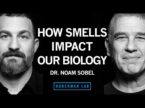 How Smells Influence Our Hormones, Health & Behavior | Dr. Noam Sobel