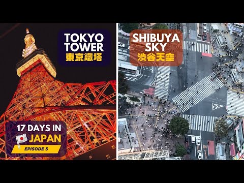 Probably the Best panoramic view in Tokyo! 🌆🗼 [Japan 日本]