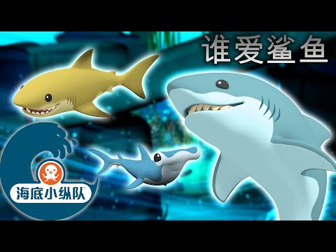 海底小纵队 - 🦈😺 谁爱鲨鱼 | 鲨鱼周来临！ 🦈😱 | 集完整版