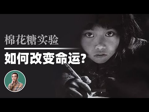 中科院博士是如何改变命运的？一颗棉花糖能否预测孩子未来？