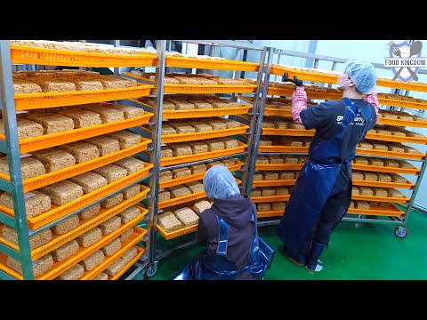 찐입니다! 직접 재배한 100% 국산콩으로 만든 메주와 청국장 대량생산 / Korean food factory