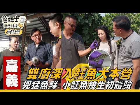 《詹姆士出走料理》嘉義｜詹姆士與昭蓉深入鱷魚大本營 小鱷魚接生初體驗-第95集-2020/11/29