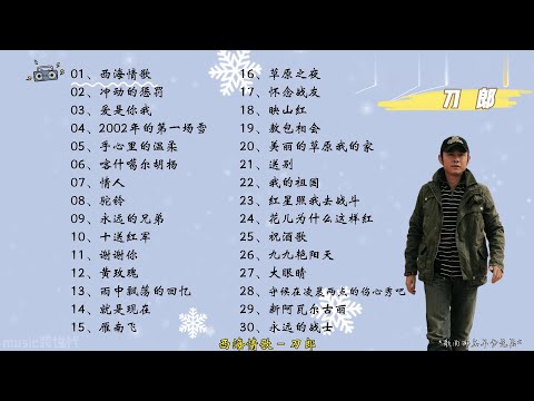 【刀郎】精选刀郎30首热门好听的歌曲，有歌词，有字幕！ 天山雪莲体育馆#刀郎新疆演唱会#音樂#分享#daolangsongs#刀郎
