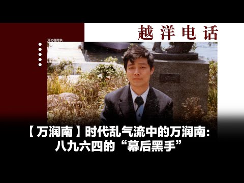 越洋电话：“抗争者” -「万润南」时代乱气流中的万润南（下）