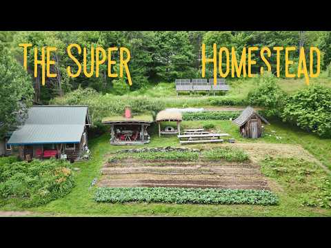 They Built a 1 Acre Homestead on “Unfarmable” Land — Now It Makes Them $13,000 a Week