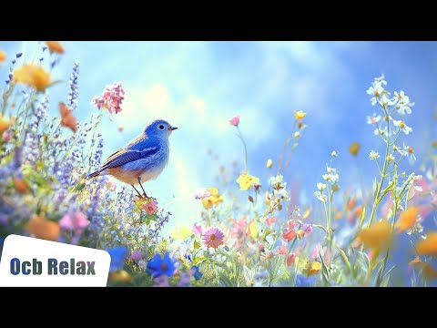 3 Hours | Relaxing Piano &amp; Guitar &amp; Bird Sounds