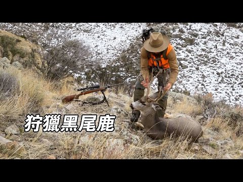 North American wilderness tough guys: Trapping pine marten and wolverines, establishing a 150-mil...