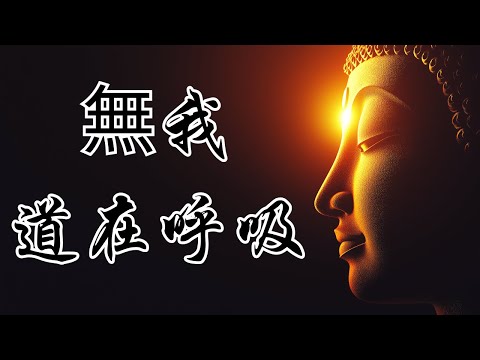 在每一次吐納之間體悟無我：順隨呼吸的禪修之道 | 奧修 | 四十二章經 | 佛陀教義 | 無家沙門 | 放下執著 | 佛教智慧 | 無我觀念 | 涅槃境界 | 無欲精神 | 修行之道 | 法的本質