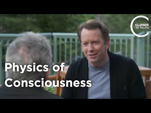 Sean Carroll - Physics of Consciousness