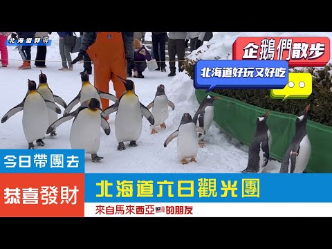 這次帶團去！北海道六天觀光、歡迎來自馬來西亞的華人朋友們，在日本撈魚生，我也是第一次撈魚生😋