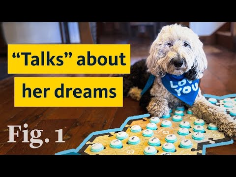 Is Bunny the “talking" dog legit? Here’s what science says