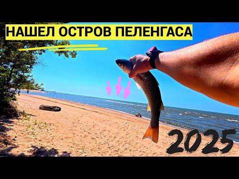 Рыбалка на Пеленгаса  Азовское  МОРЕ 2025