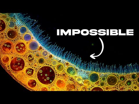 The Moment Life Discovered Teamwork