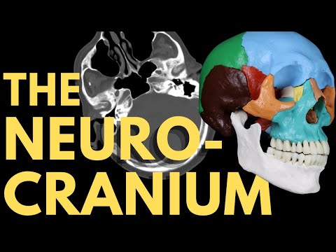 Cranial Bones, Sutures and Bony Landmarks | Skull Bone Anatomy | Radiology Anatomy Part 1 | CT Brain