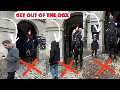 POWERFUL! This Guard Shows How a Real King’s Guard Stops Rule Breakers 👑🔥