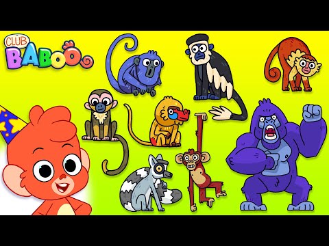 Animal Puzzle with lots of Monkeys and more cute animals! | Club Baboo