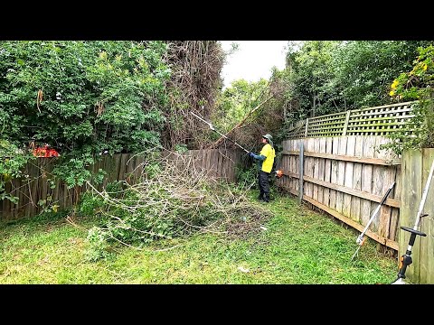 I got the BIG GUNS out on this OVERGROWN yard CLEANUP!