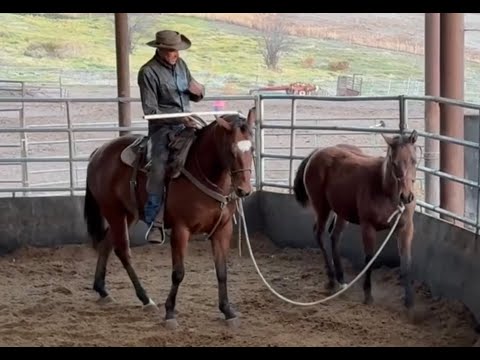Slash Learns A Lesson From Her Brother