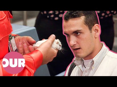 Passenger Tries To Board A Flight With His Hamster | Airline S3 E6 | Our Stories
