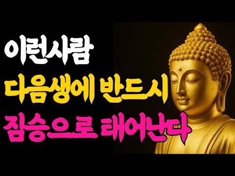 The Buddha's Words | The Commonalities of People Who Are Born as Animals in the Next Life, as War...