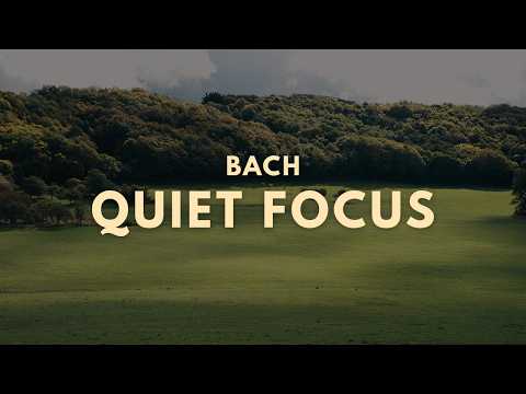 Quiet Focus · Bach   Cello Suite No 1 in G Major BWV 1007