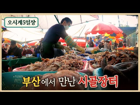 부산 속 시골장터 오시게 5일장/3일전부터 준비하는 국밥집/새벽3시에 출근하는 백반집/대를 잇는 국숫집/오시게장의 명물들/오시게장날/오일장 맛집
