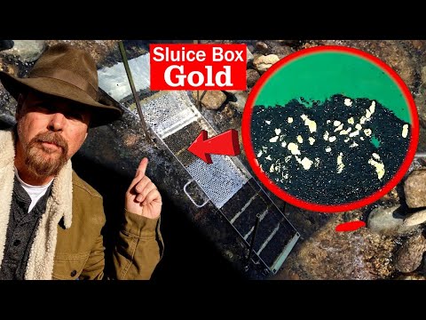 Is This Sluice Box REALLY Better for Finding Gold?