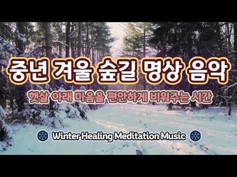 🌟중년 겨울 숲길 명상 음악｜햇살 아래 마음을 편안하게 비워주는 힐링 사운드 ✅#겨울명상음악 #중년명상 #마음비우기 #겨울힐링#명상음악추천 #스트레스해소음악 #편안한음악 #수면음악