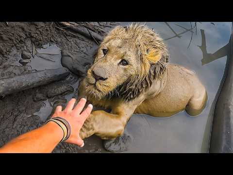 45 Personas Heroicas que Salvaron la Vida de Animales